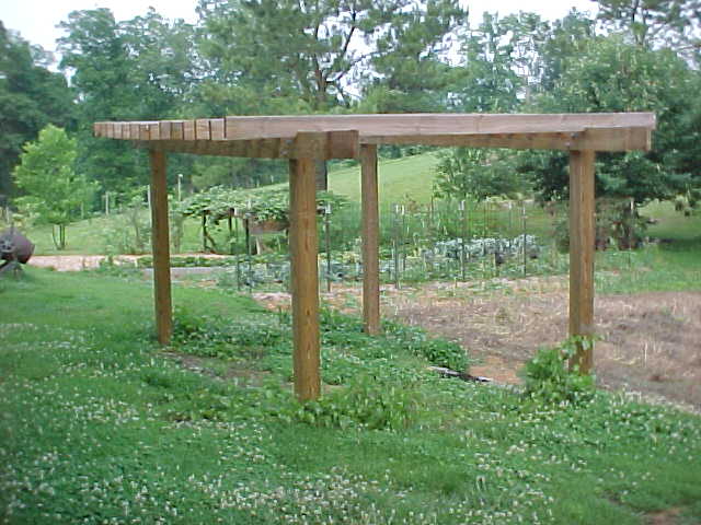 MVC-001S.JPG