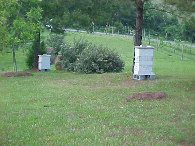 MVC-004S.JPG