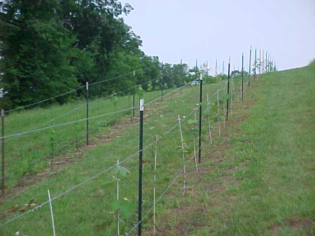 MVC-005S.JPG