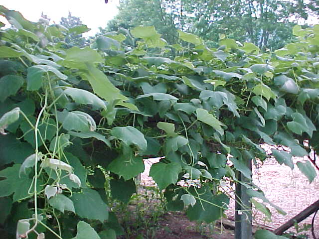 MVC-009S.JPG